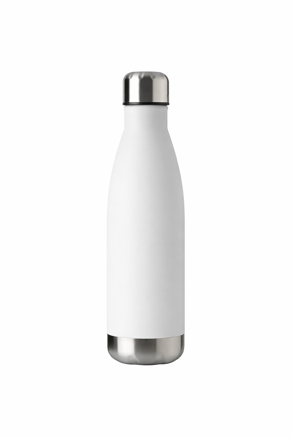 Insulated Bottle (17oz)